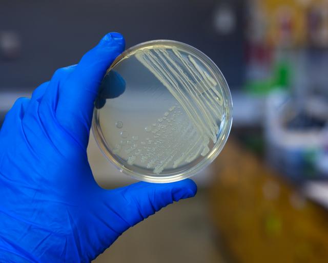 實驗室品質管理系統